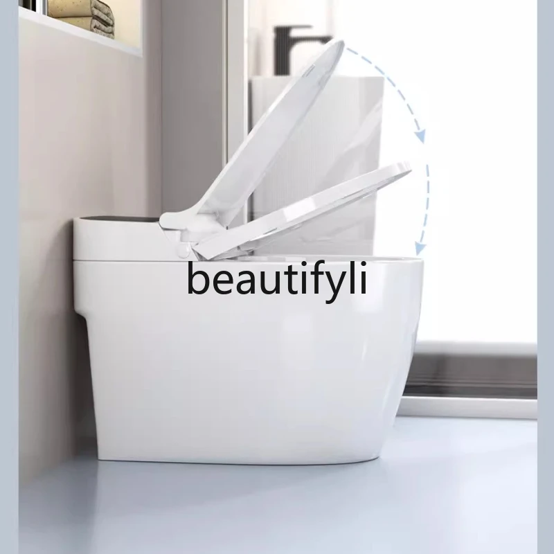 

Mechanical Smart Toilet Ceramic Tank Siphon No Water Pressure Flush Cleaning for Buttocks