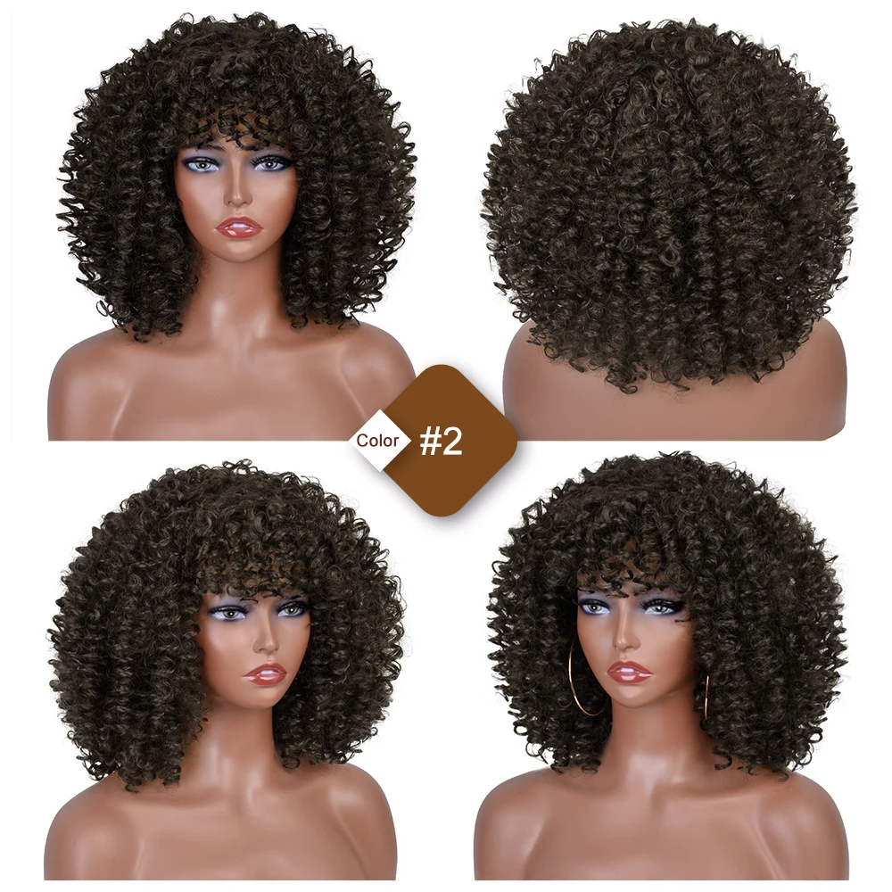 Curly Wigs for Black Women Short Curly Afro Wig with Bangs Kinky Curls Curly Hair Synthetic Wig for Daily Use Party Cosplay