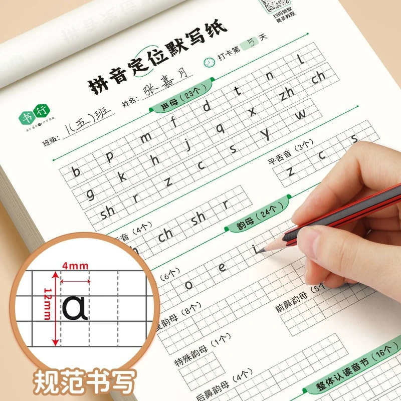 Beginner's First Grade Introductory Pinyin Practice, Initial Consonant and Final Vowel Practice Paper, Pinyin Positioning Paper
