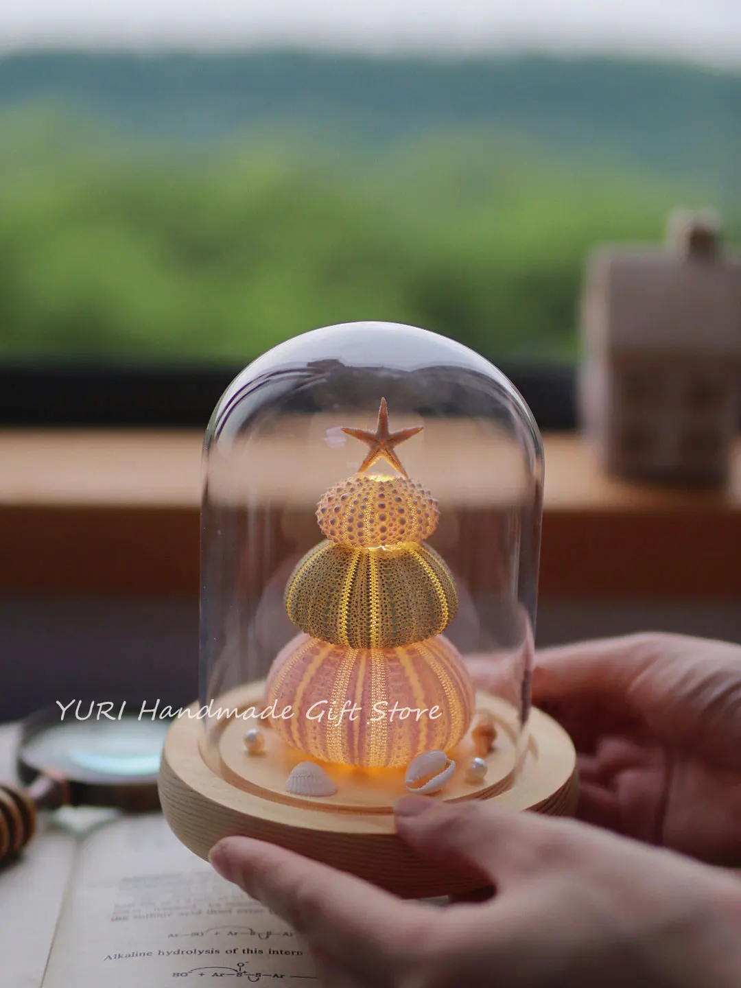 Shell Sea Urchin Night Lamp Handmade DIY Ornaments Natural Creatures Cute Bedroom Light Ocean Lovers Birthday Gift Christmas Day