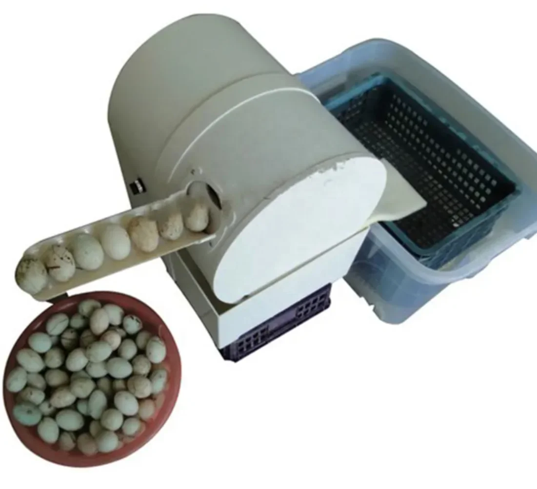 

Automatic Egg Cleaner Easy To Operate Commercial Farm Goose Cleaning Washer Machine