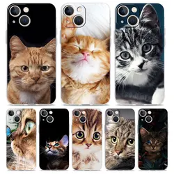 Luxury Phone Case For iPhone 15 14 13 12 11 Pro Max XS X XR 7 8 Plus Soft Clear Shockproof Cover Cartoon Cute Cats Background
