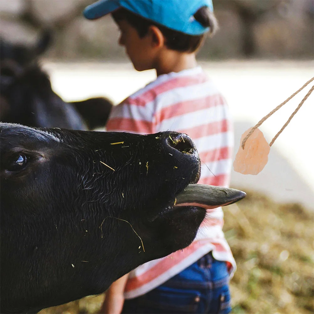 4 Uds. Bloque de sal para lamer animales, ciervo para lamer, accesorios para caballos de alimentación, agujero perforador, conejo Mineral