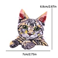 PE1682CT