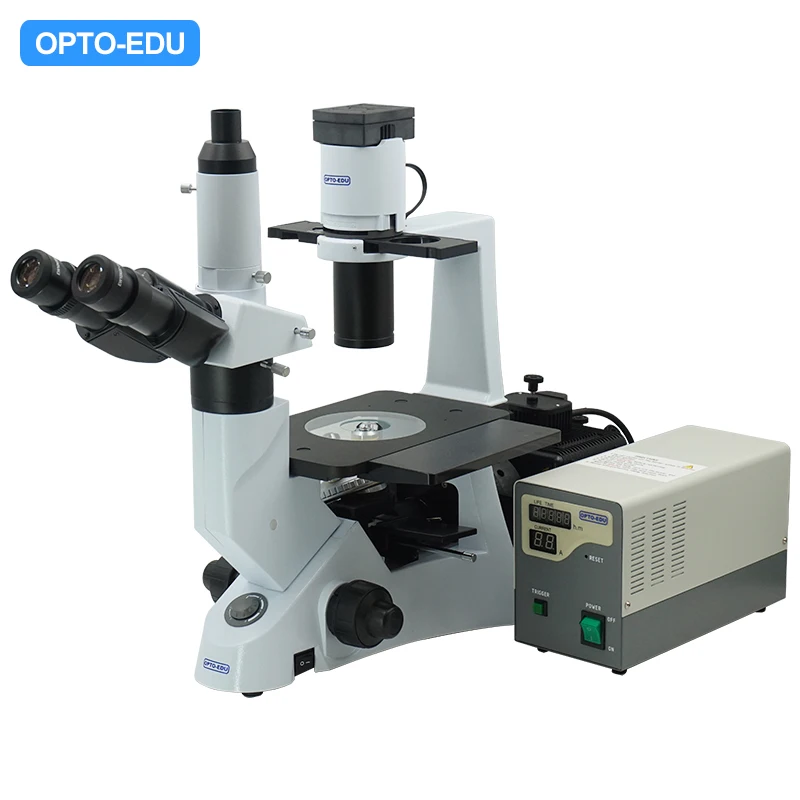OPTO-EDU A16.1021 B G UV V Inverted Microscope microscopio trinocular