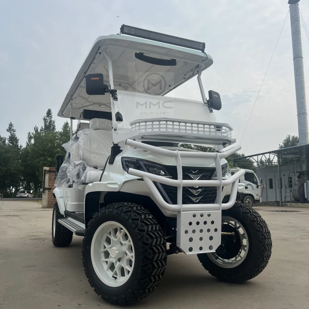 

2+2 4+2 Seater 4 6 Person/Passenger Sightseeing Cart Club Car Electric Golf Cart