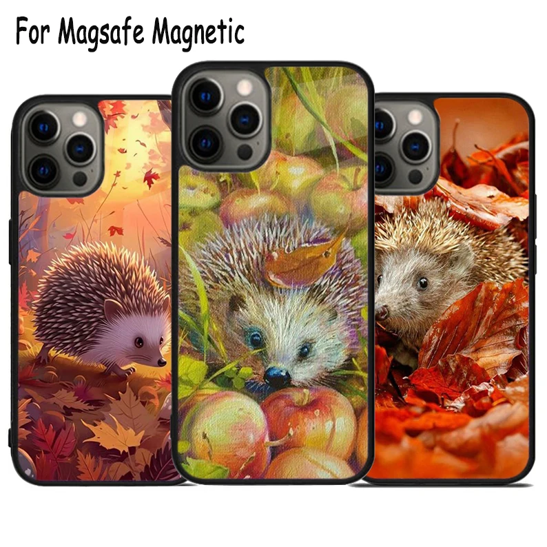 Animal Hedgehog Wireless Charge Magsafe Phone Case For iPhone 15 16 14 13 11 12 Pro Max Plus Magnetic Bumper Cover