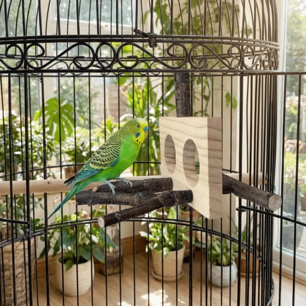 Natural Wood Bird B…
