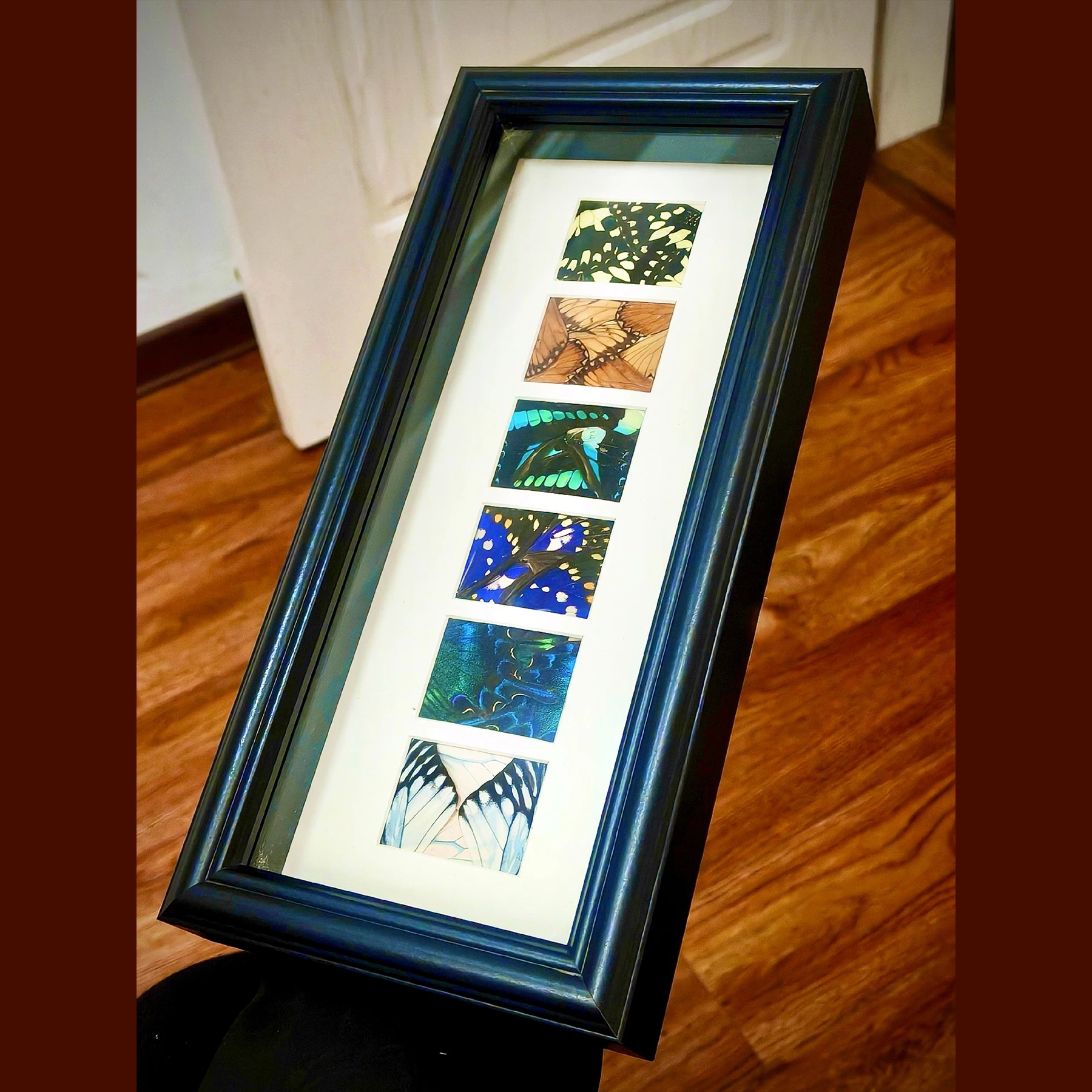 2167 Butterfly Wings Wall Art Handmade Vintage Nature Inspired Framed Shadow Box Unique Home Decor Gift Creative Design Painting