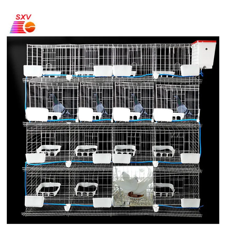 

12 16 Space Large Wholesale Metal Wire Racing Pigeon Breeding Cage for Hot Sale
