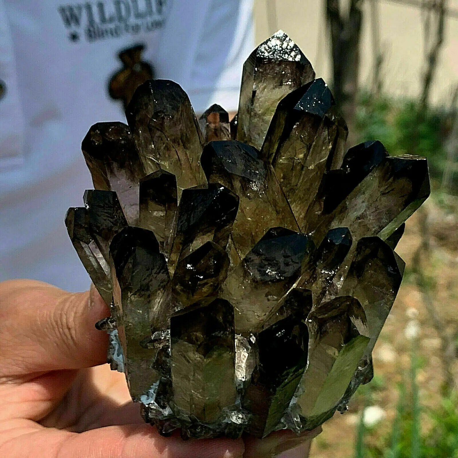 

New Find black Phantom Quartz Crystal Cluster Mineral Specimen Healing