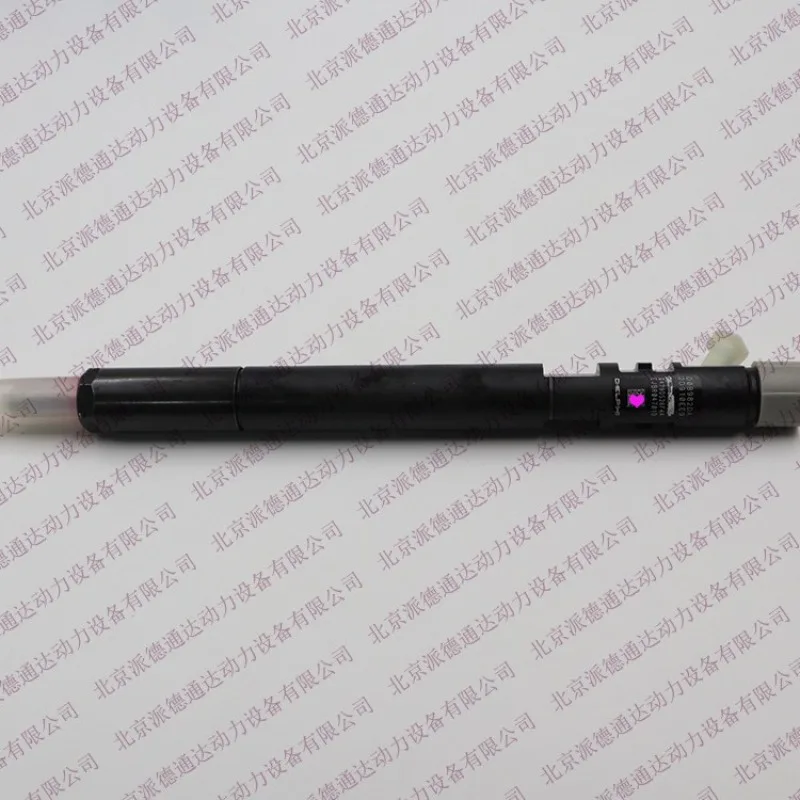 Delphi EJBR04701D A6640170221 EJBR03401D A6640170021/4 Cylinder Fuel Injection