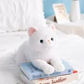 50cm White