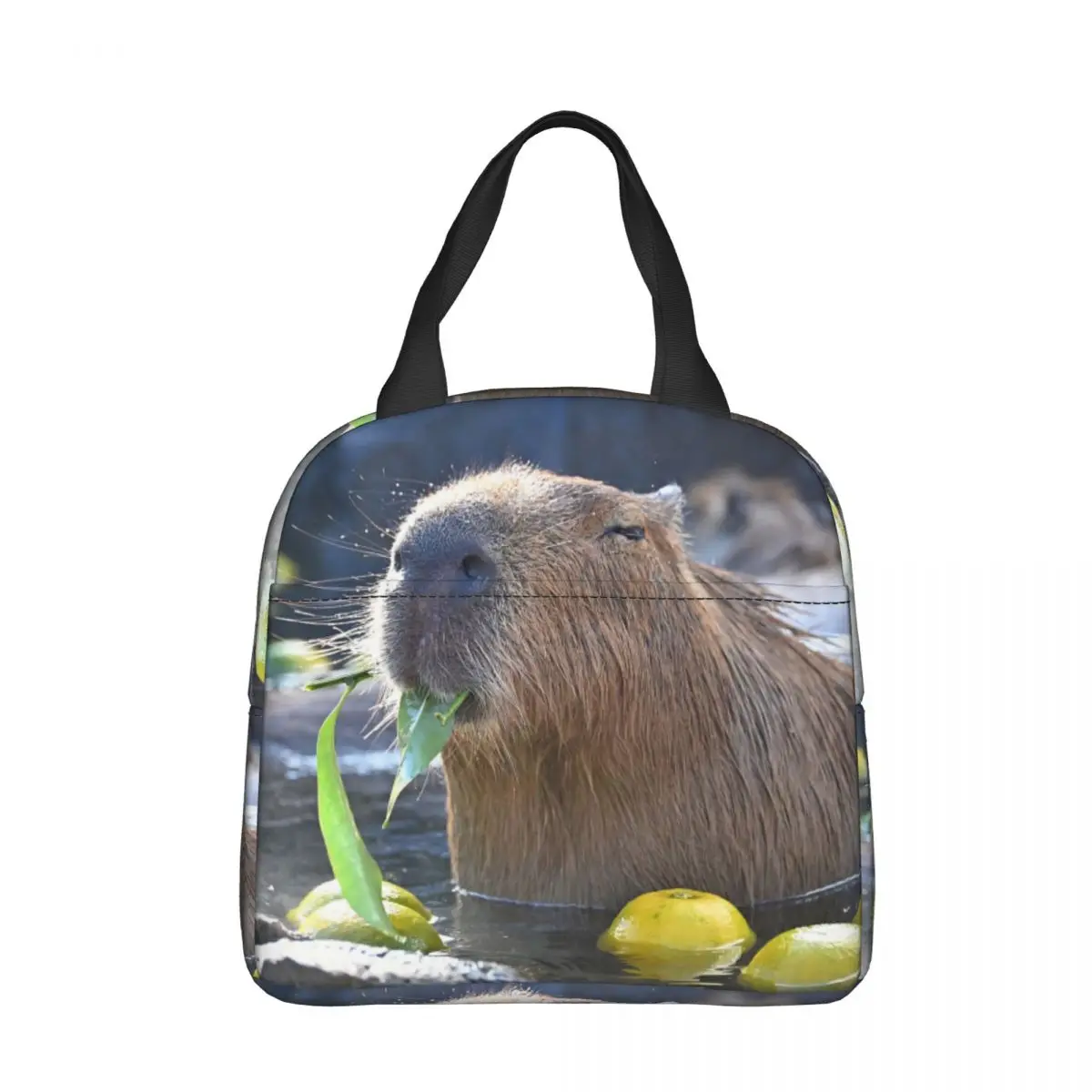 Capibara borsa termica per il pranzo borsa termica per il pranzo contenitore per il pranzo animale carino borsa per il pranzo ad alta capacità Bento Pouch School Travel