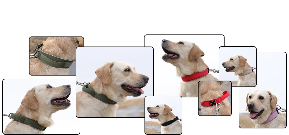 Taktisches Hundehalsband, verstellbares Hundehalsband für mittelgroße und große Hunde, Golden Retriever-Halsband mit Kontrollgriff, hochwertige Schnalle. – Detail 5