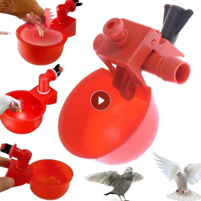 Chicken Drinking Cup Automatic Drinker Chicken Feeder Plastic Poultry Waterer Drinking Water Feeder For Chicks Duck Goose Quail