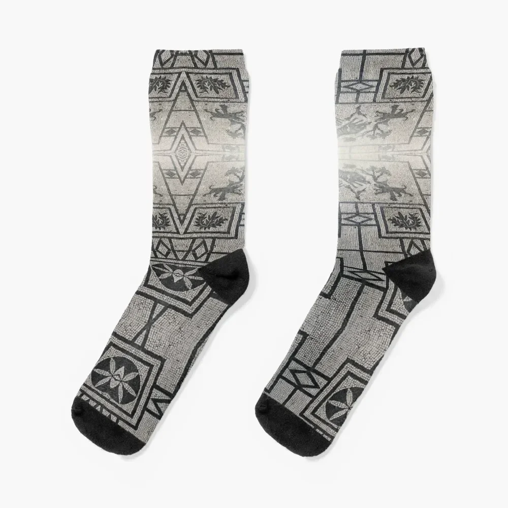 Roman Mosaic Floor in Pompeii Italy Socks funny sock set Soccer Socks Girl Men's