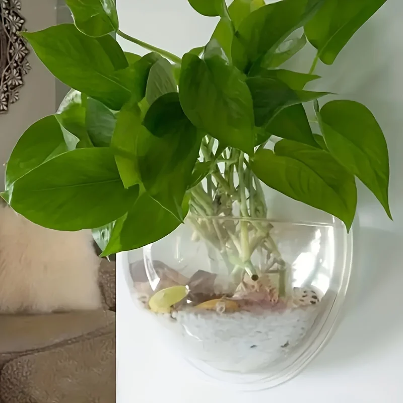 Versatile Hydroponic Planter - No-Drill, Indoor/Outdoor Wall Mount Aquarium Bowl for Home Decor & Garden Care