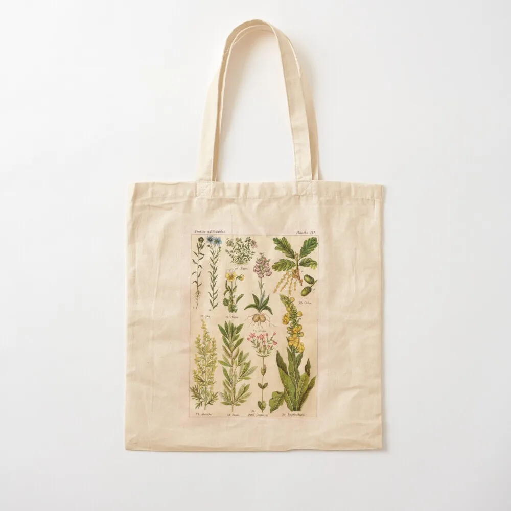 

French botanical illustration - Henri Coupin - Plantes medicinales planche 3 Tote Bag large size bags Women bags