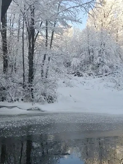 

1/7 1/8 RC Car Tires & Rims Set for ARRMA TRX4 Redcat - 100mm OD 40mm Wide 17mm Hex Unbonded Wheels for WRC KM Citroen C3 WR8