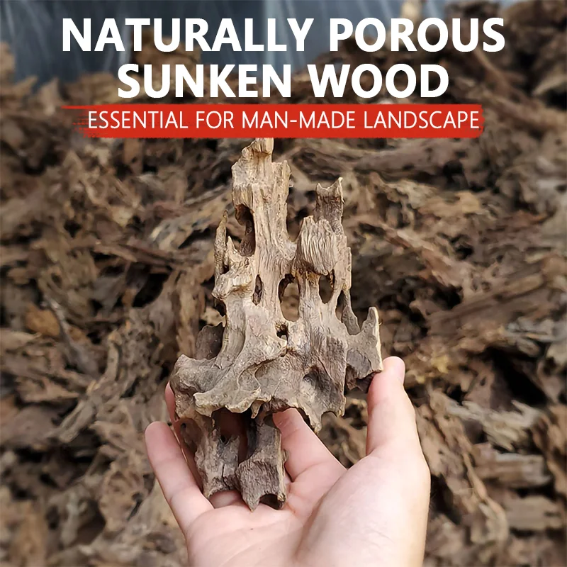 yZ[zVREٖ؍ޗ؏萅كJjGrق̑ANZT[X̑