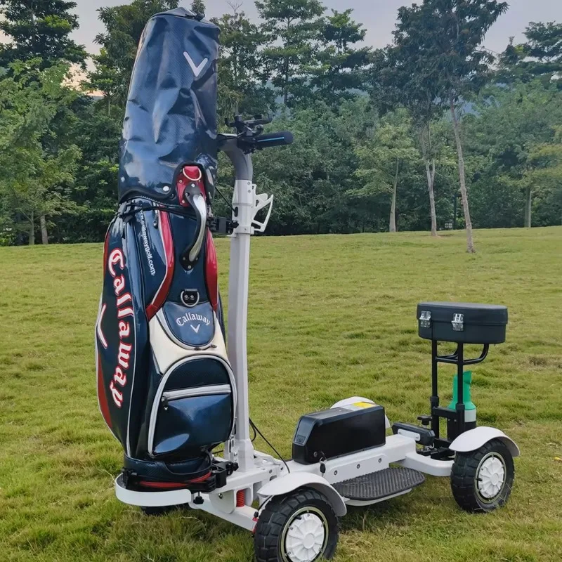 New Design Club Golfboard Four Wheels 48v 20ah 2400w Electric Scooter Golf