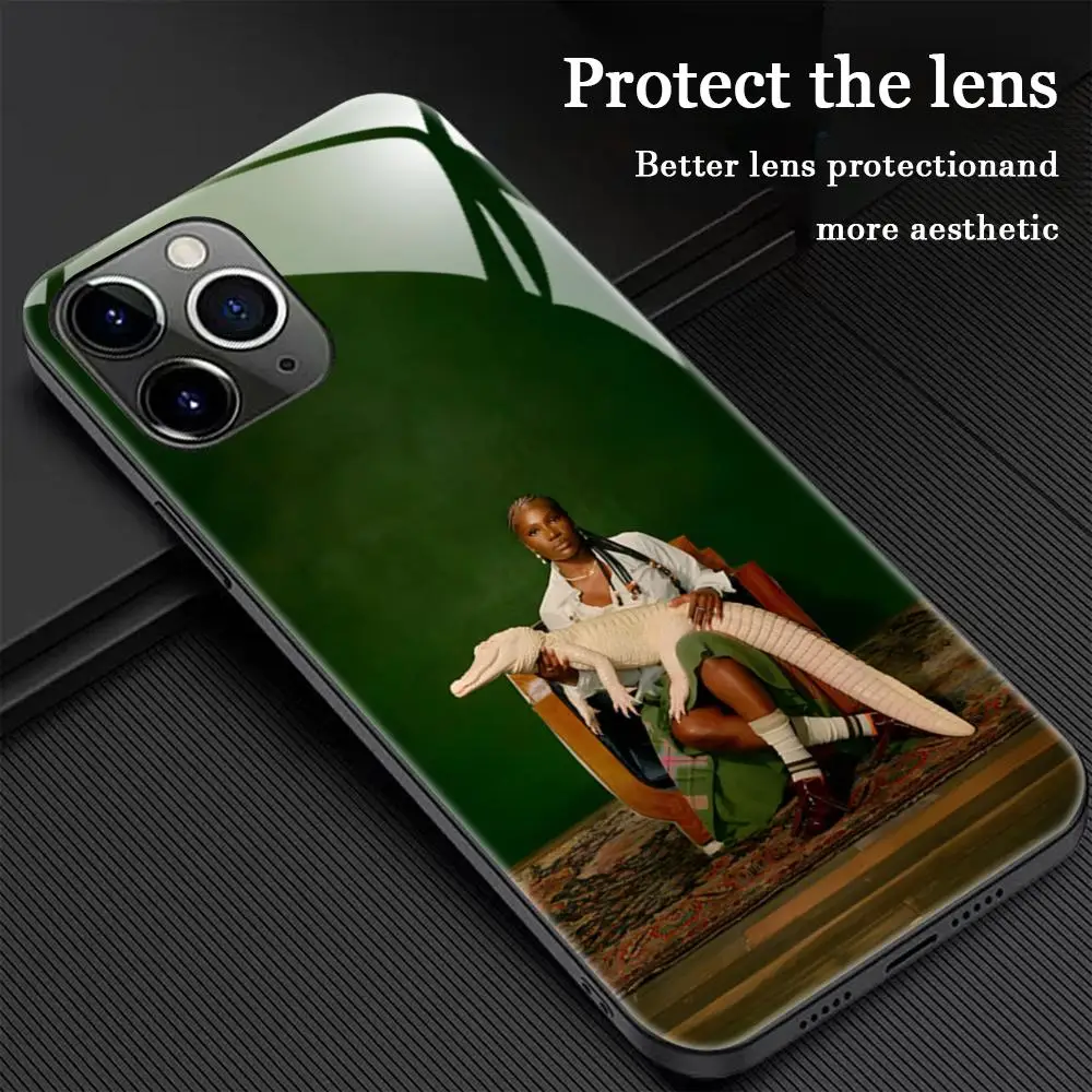 حافظة لهاتف آيفون 16 15 14 13 12 11 X XR XS 8 Plus Mini Pro Max حافظة هاتف مغناطيسية زجاجية من D-Doechii Star