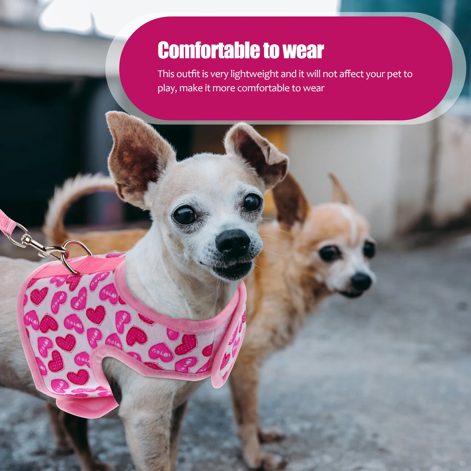 

s Pet Harness Lightweight Mesh Vest for Small Dogs Reflective Suitable Indoor Outdoor Activities Dog Harness Strap Vest