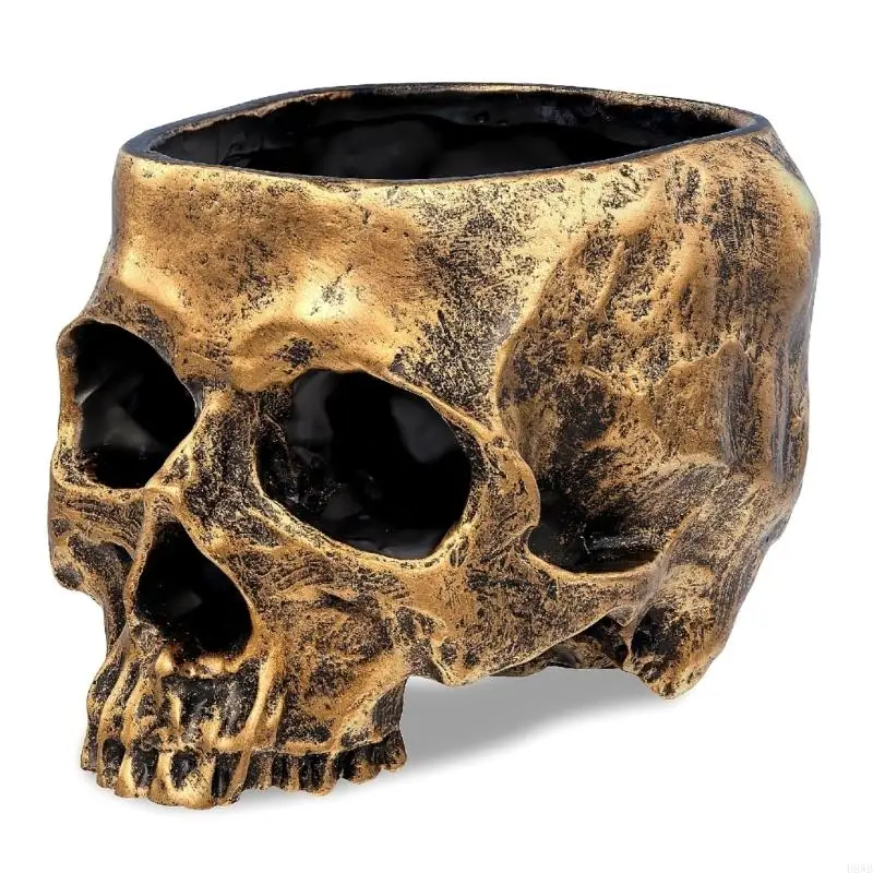 H8WB Aged Skull Holder With Weathered Bronze Finish Perfect For Mini Succulents And Tabletop Presentation
