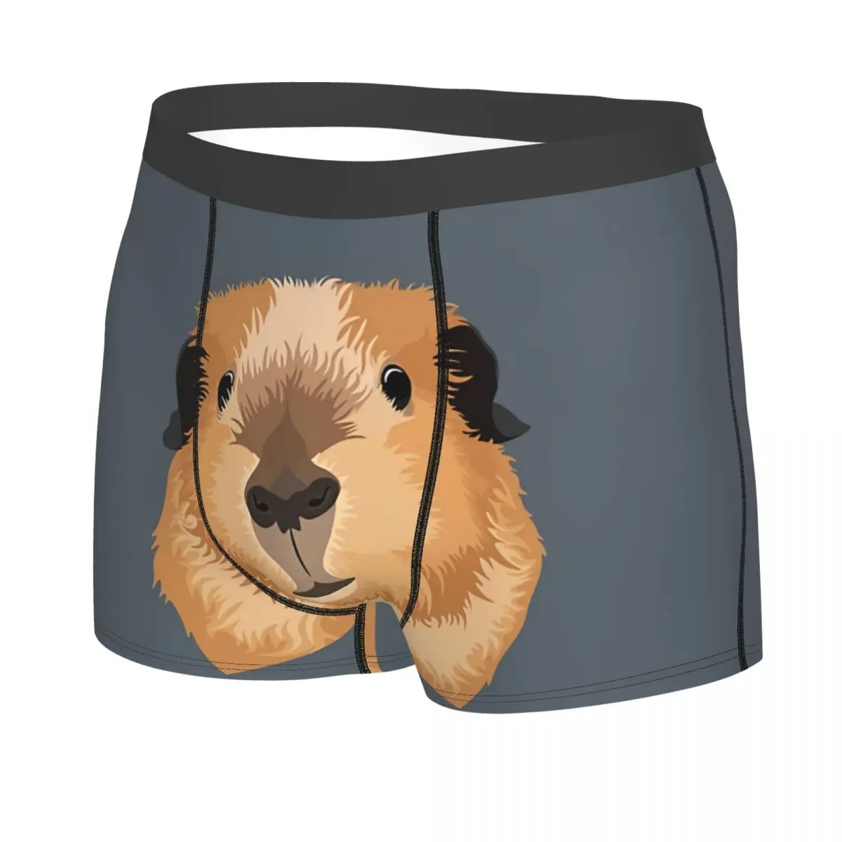 Guinea Pig Peanut Selfie Men Boxer Briefs Capybara Highly Breathable Underpants Top Quality Print Shorts Birthday Gifts