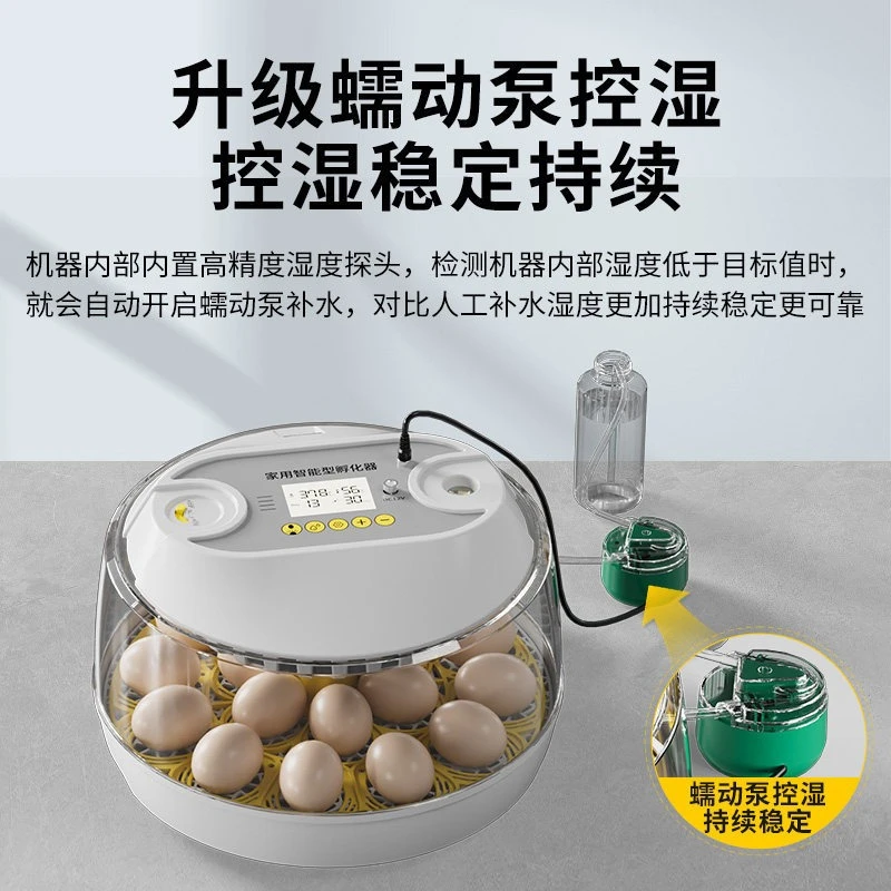 Egg Incubator Small Household Automatic Intelligent Incubator Special for Bird Eggs Parrots and Rare Birds