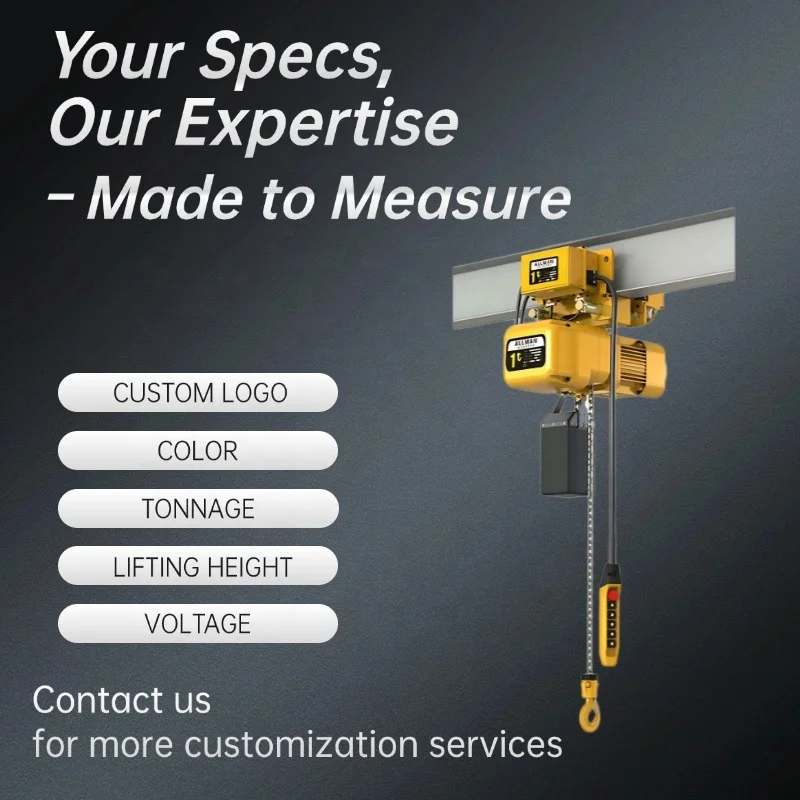 Paranco elettrico M5 da 1 tonnellata 2 tonnellate 3 tonnellate 5 tonnellate Paranco elettrico industriale all'ingrosso Gru a catena ER2 380v 220v Gru a carico pesante