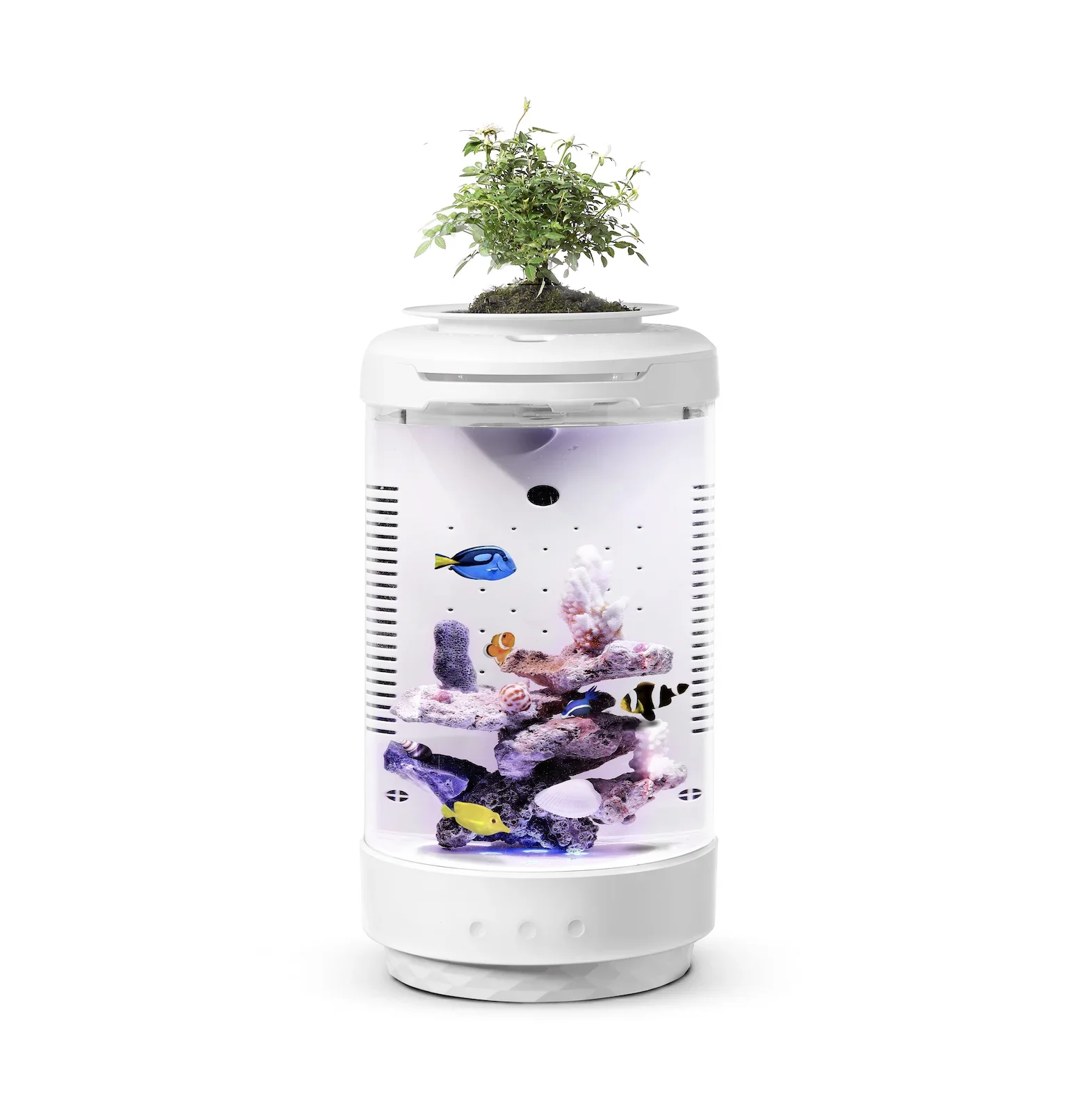 Table Tank Small Aquarium Fish Tank Fresh Water Salt Water