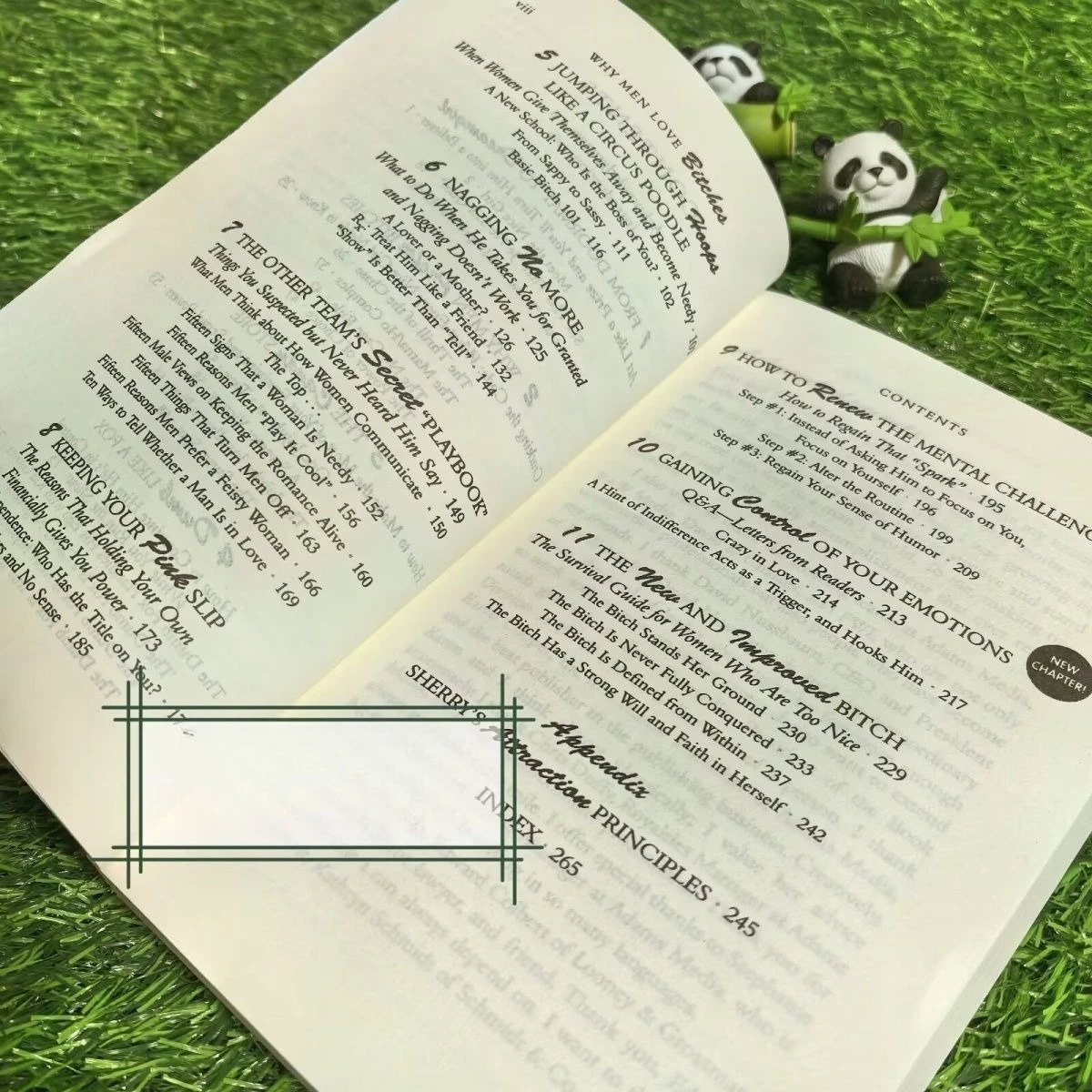 النساء السيئات، بعض الناس يحبون الحب والسحر والثقة بالنفس، كتب الروايات الإنجليزية، الكتب الإنجليزية، فلسفة Libro Phil فلسفة #4