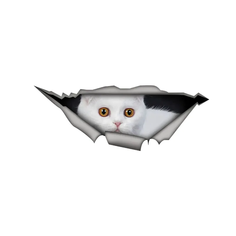 DK560# Scottish Fold Cat Car Stickers Funny Waterproof Vinyl Decal Motorcycle Decorative Accessories, Used for Car, Motorcycle,
