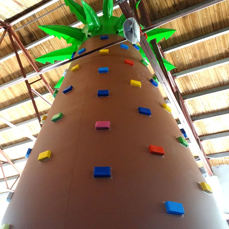 Large Inflatable Climbing Walls Equipment