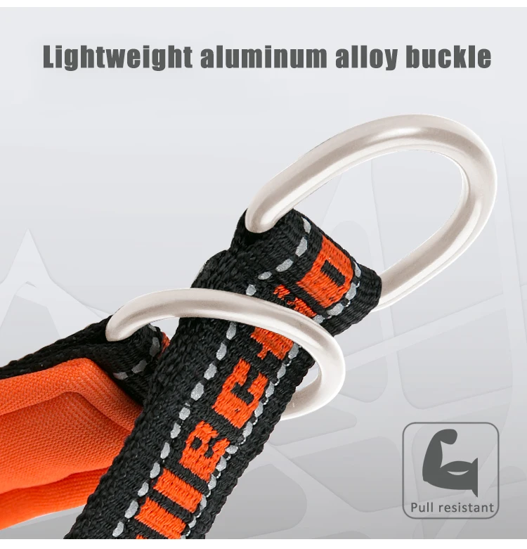 Truelove Hundehalsband, P-Kette, Nylon, verstellbar, reflektierend, SBR-Neopren, zugfest, explosionsgeschützt, für Reisen von Hunden und Katzen TLC5371 – Detail 6