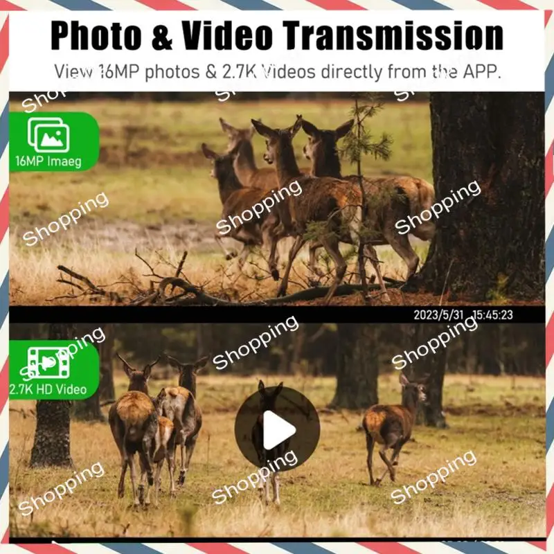 

M20K 4G Sim Card LTE Cellular 4W Solar 7800Mah Battery Hunting Trail Motion Activated Night Vision 4MP IP66 Camera(US) Durable