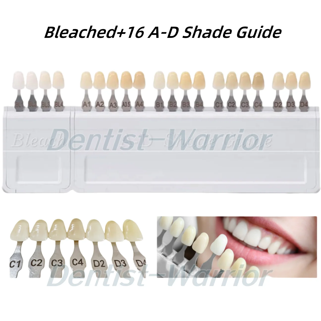 Dental 20Colors A-D Bleached Shade Guide Bleach Chart 4/20 Colors Teeth Whitening Based Vita BL1/2/3/4