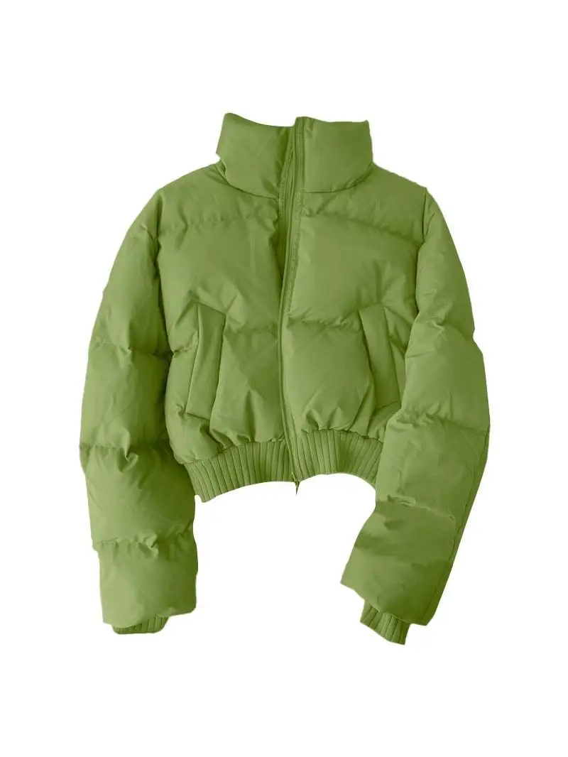 

Новая теплая зимняя куртка большого размера из хлопка с воротником-стойкой, в корейском стиле, свободного кроя, с длинными рукавами, утепленная, в стиле Ins.