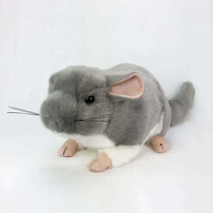 Jouets en peluche de chinchillas réalistes de simulation, animaux en peluche doux, poupée d'anniversaire, cadeaux de Noël, zoo drôle, 36cm