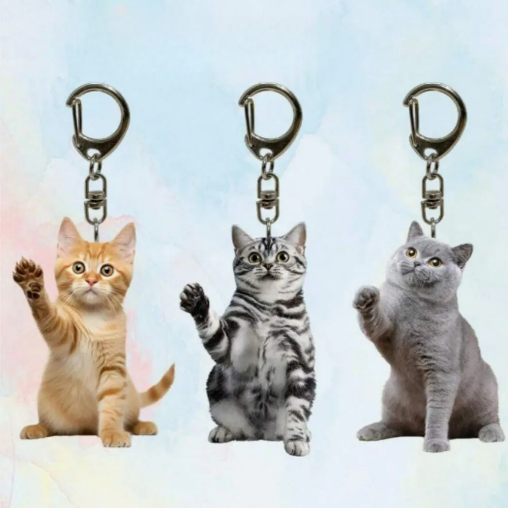 Lanhua Cat Gray Seeks Hug Black and White Cats Keychain, 2D Acrylic Kitten Pendant,Double-Sided Design, Animal Key Ring Charm