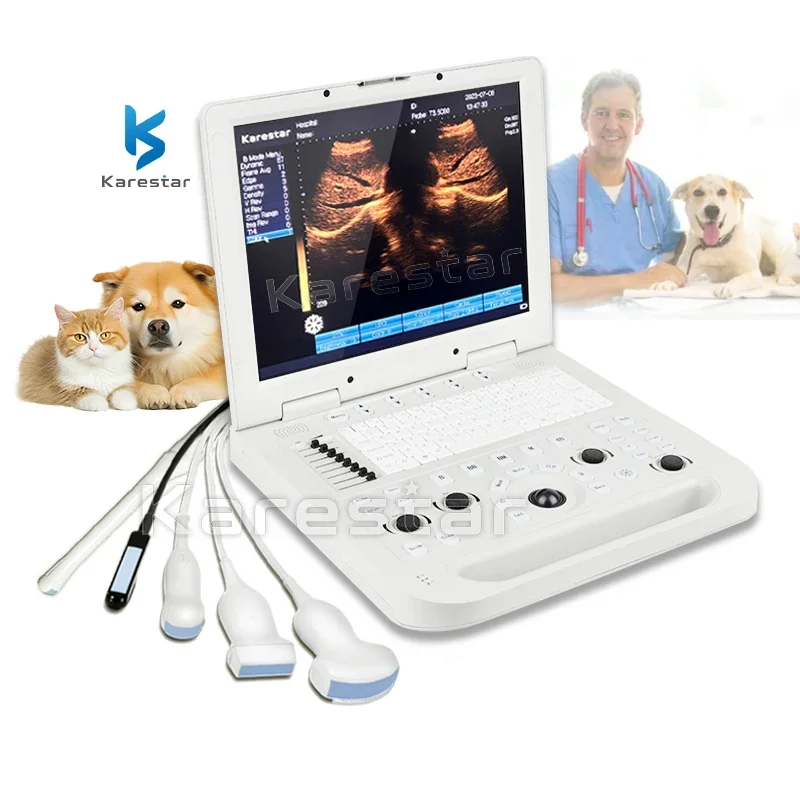 K-H301 Good quality full digital Goat sheep cow horse pregnancy veterinary ultrasound machine