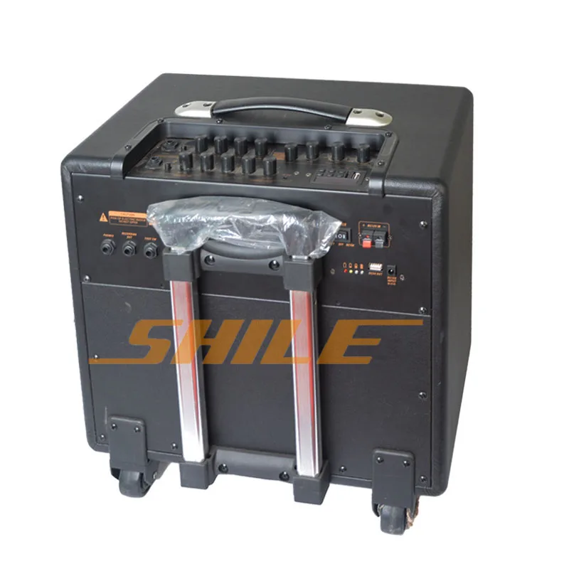 10inch 50W China Hot Sell Guitar Tube Amplifier Digital Guitar Sound System Active Speaker