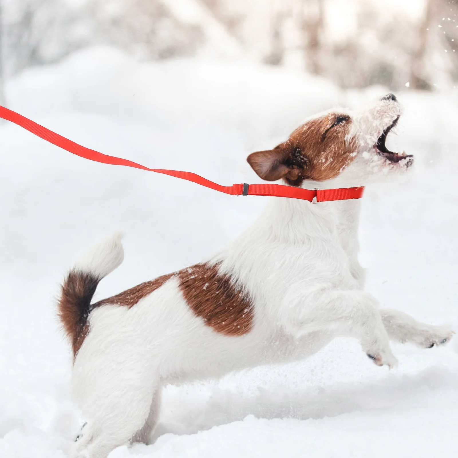 

Dog Hair Cutting Rope Pet Grooming Rope Pet Bath Fixed Rope Multi-function Hanging Rope (Size L, Random Color)