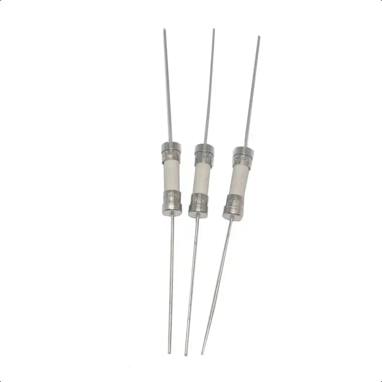 【20PCS】5X20MM 0.5A 1A 2A 3A 4A 5A 8A 10A 12A 15A 20A​ 25A 30A Slow/Fast Blow Ceramic Fuse With Axial Leads