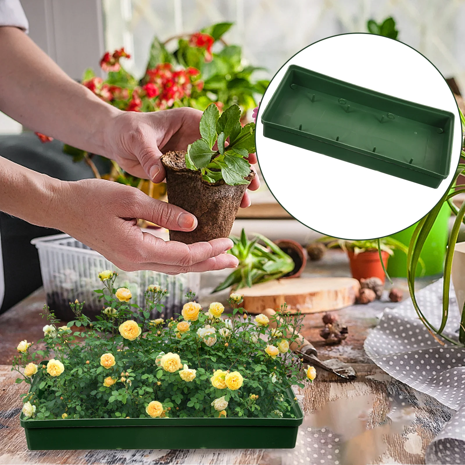 

Rectangular Pin Plate Flower Mud Holder Durable Plastic Trays Gardening Supplies Floral Arrangement Long Serving Wedding