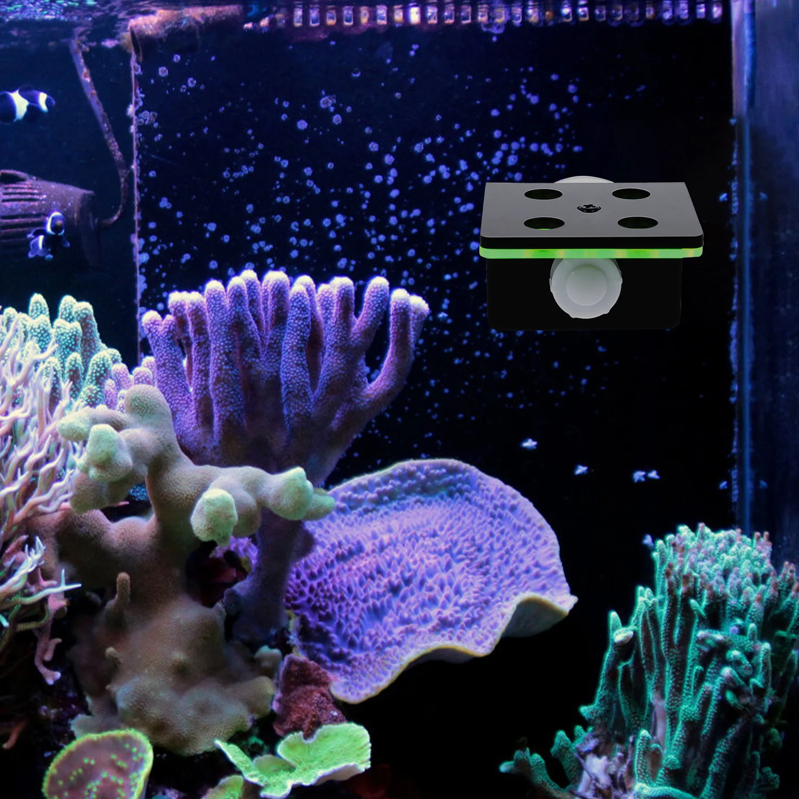 

Fluorescent Green Coral Rack Lightweight Stable Rack Aquarium Plant Holder Coral St Fish Tank Accessories Decorations Pet