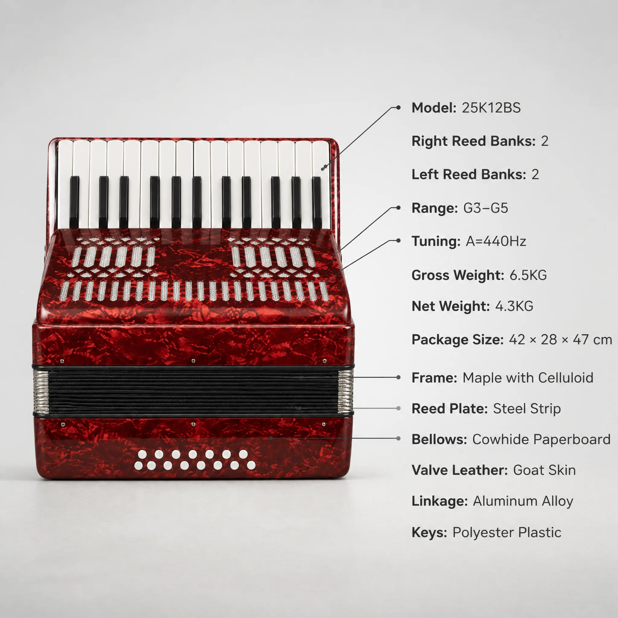 OEM LOGO Professional Red Accordion 25 Key 12 Bass Piano KEYBOARD Accordion Professional Color Customization Accordion