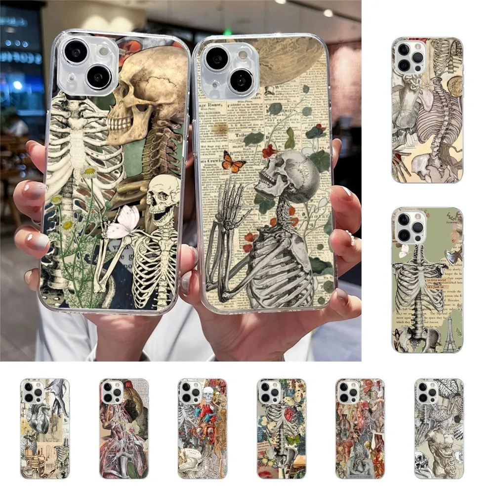 Medical Human Anatomy Phone Case For Iphone 15 11 13 14 Pro Max 7 8 Plus X Xr Xs Max Se2020 12mini Transparent Cover